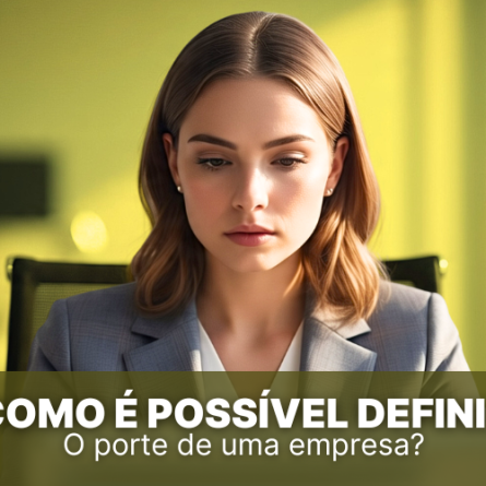 Como é possível definir o porte de uma empresa?