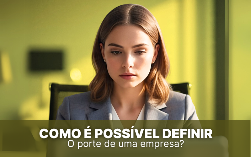 Como é possível definir o porte de uma empresa?