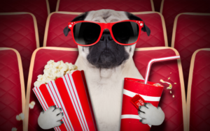 filmes contadores