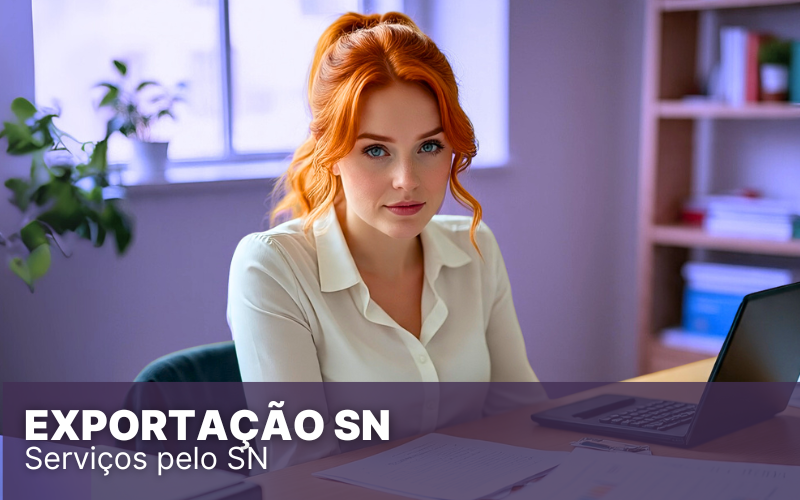 Exportação Simples Nacional: entenda como funciona e quais cuidados tomar