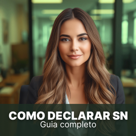 como declarar simples nacional
