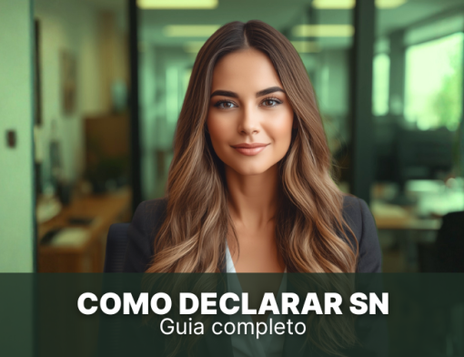 como declarar simples nacional