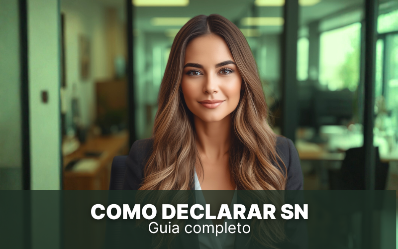 como declarar simples nacional